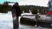 Stepchild FTW - Good Wood Men's Park Snowboard - TransWorld SNOWboarding