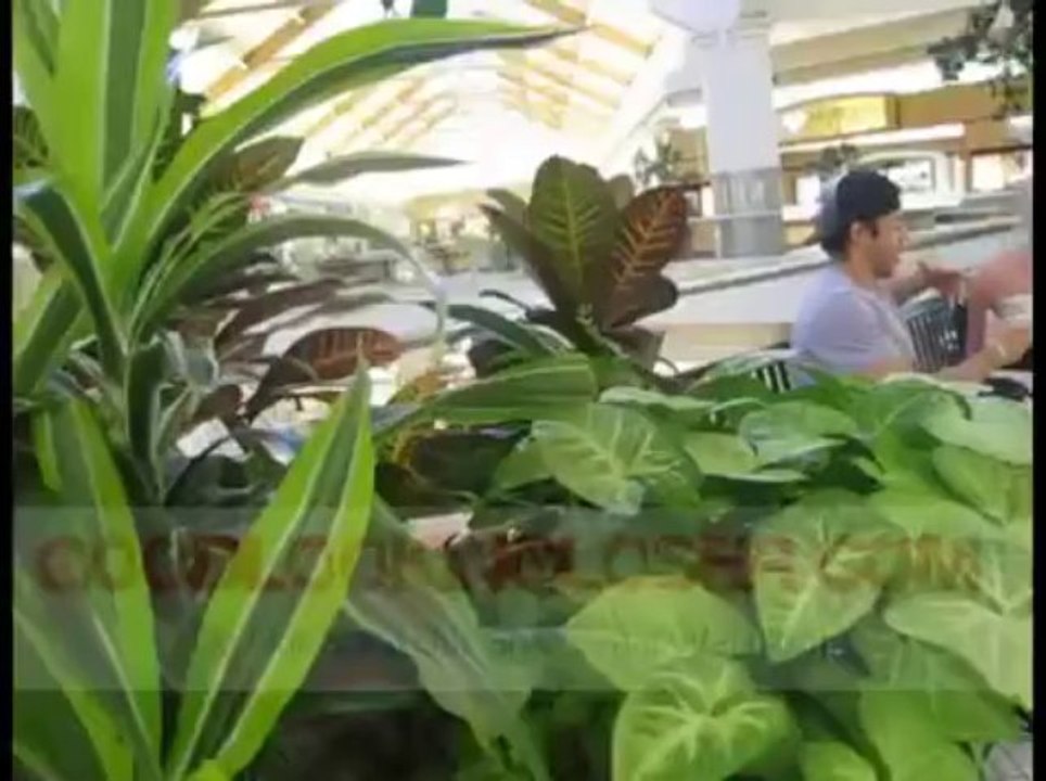 Chris Picks Up a Girl At the Mall in Los Angeles
