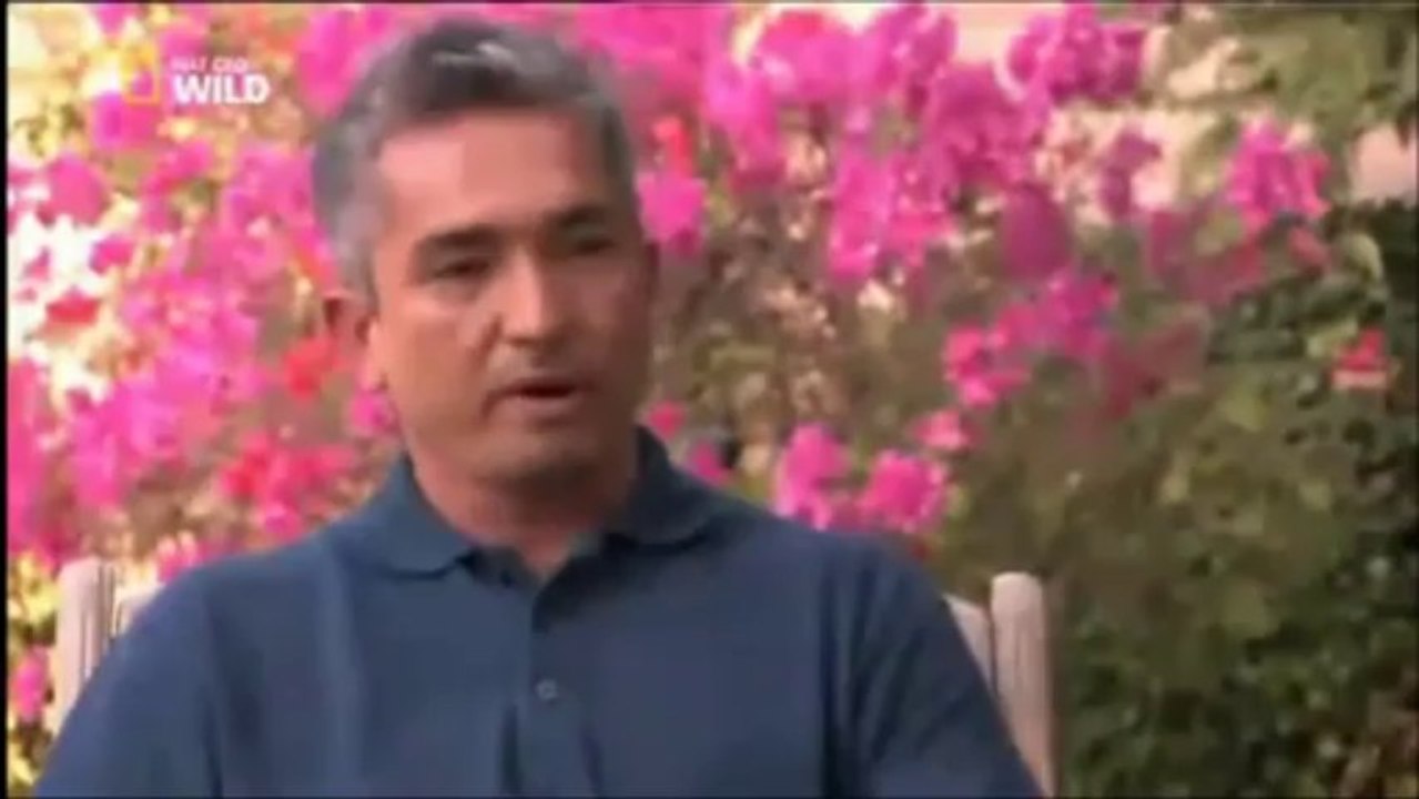 Cesar Millan Sa01 Ep11b D