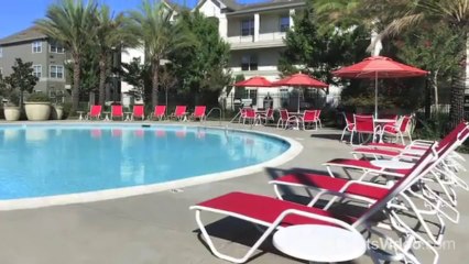 The Element Apartments in Sacramento, CA - ForRent.com