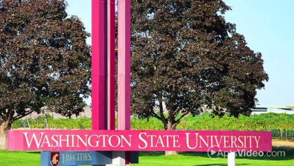 The at Innovation Center Apartments in Richland, WA - ForRent.com