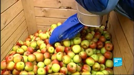 LE JOURNAL DE L'ÉCONOMIE - Allemagne : Merkel se plie au salaire minimum généralisé