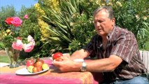La pomme en Val de Garonne par M. Dubroca
