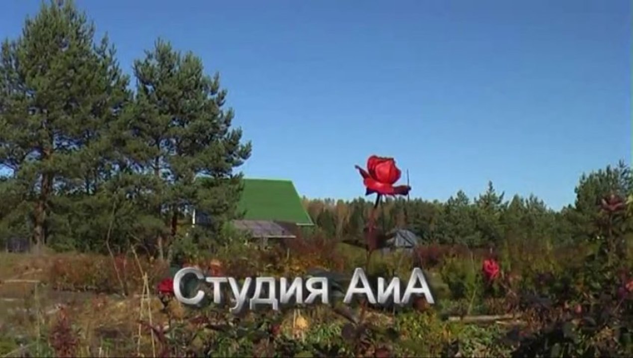 Плантация голубики