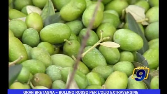 Gran Bretagna | Bollino rosso per l'olio extravergine