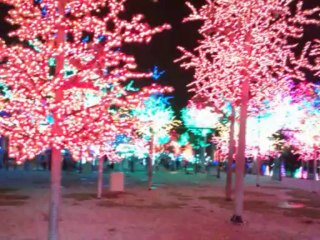 金馬崙高原之旅 cameron highlands trip