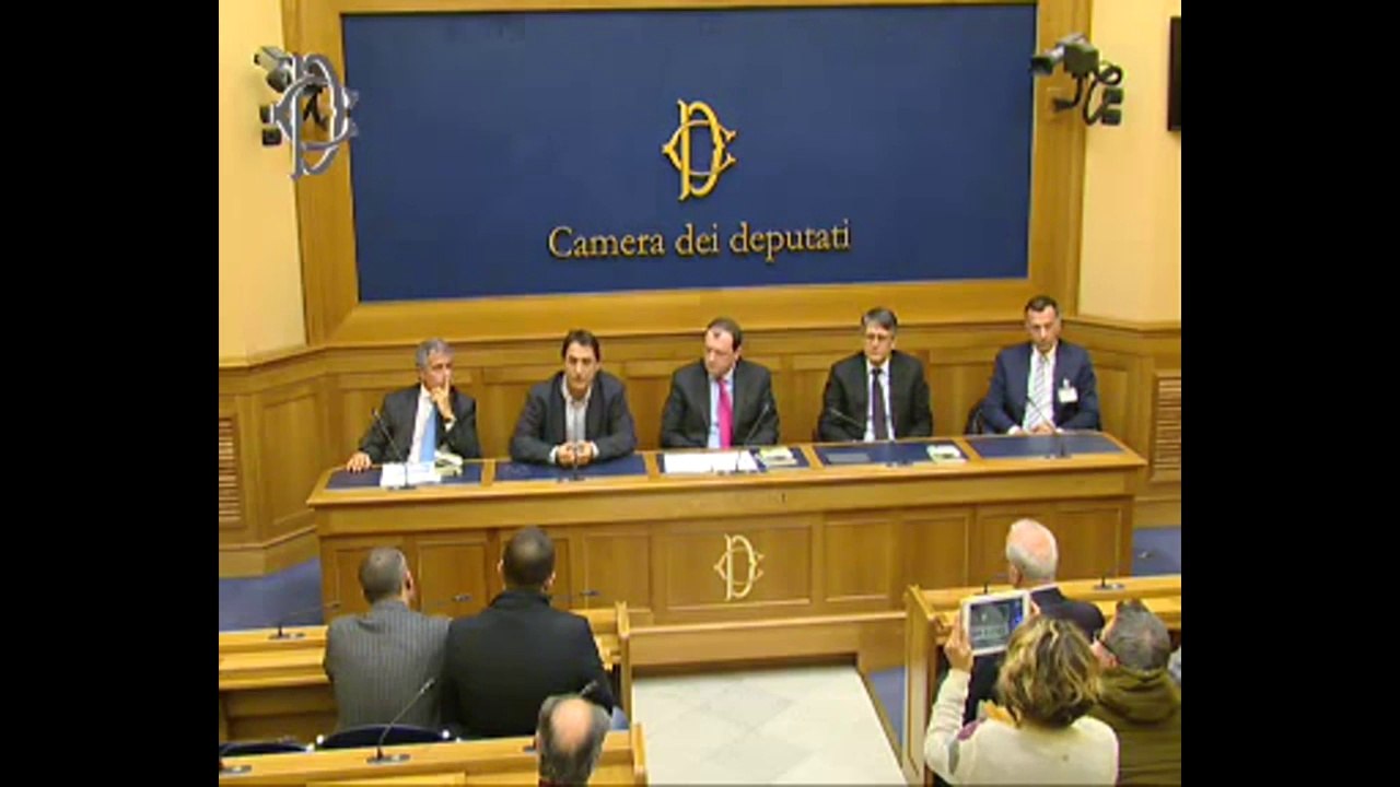 Roma - Conferenza stampa di Fucsia Fitzgerald Nissoli (21.11.13)