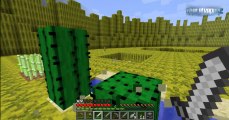 Minecraft: Sobreviviendo en el mundo de las Sandias Ep. 4 