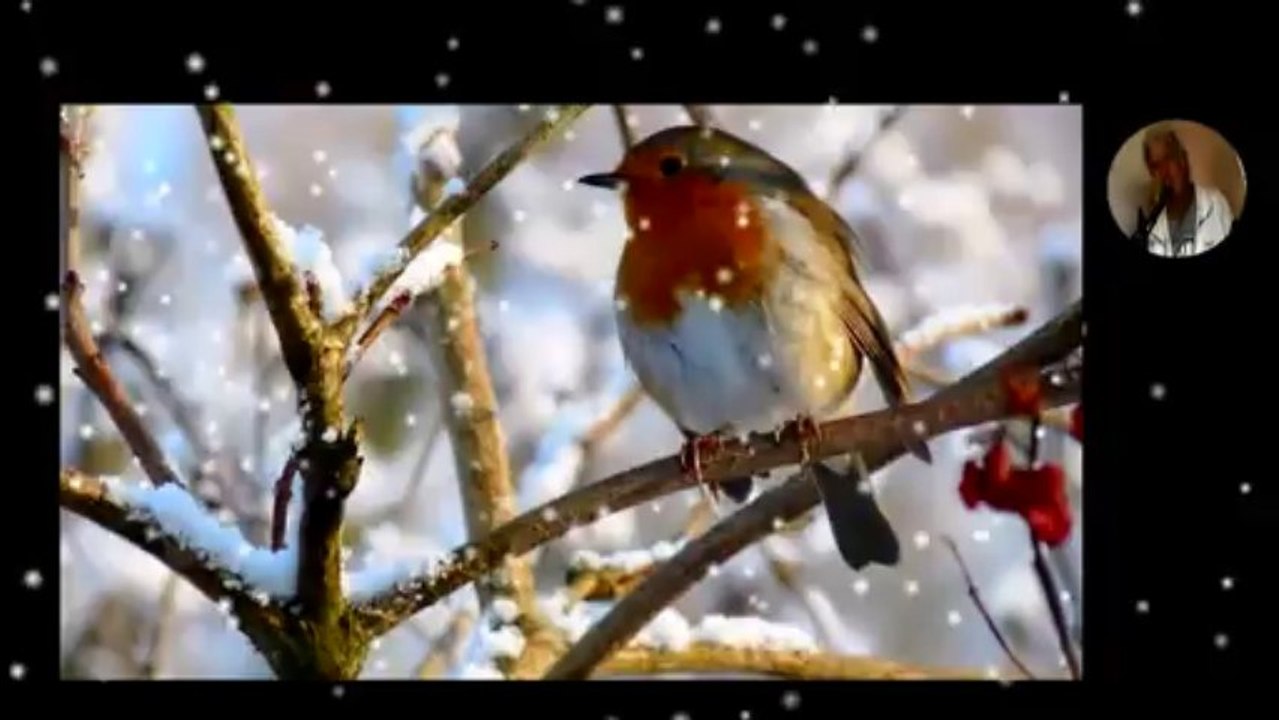 Tombe la neige (reprise S.Adamo)