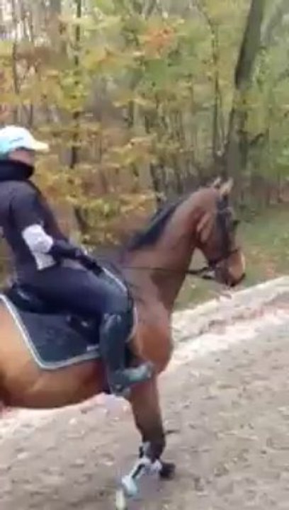 13-11-17 - Chantilly 2