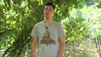 What's Up - 12 - 18 Agosto