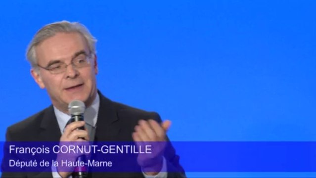 Convention sur la Défense - François Cornut-Gentille
