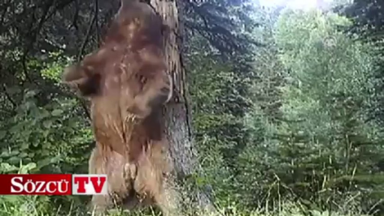 Daha önce böyle hiç görüntülenmemişti