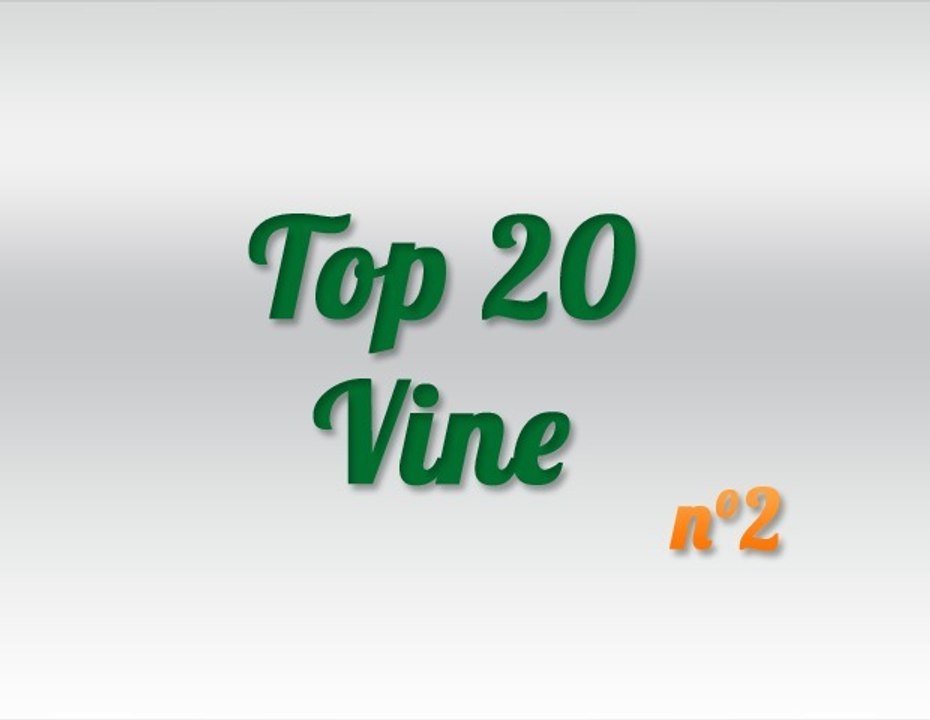 Top 20 Best Vines Video Week #2
