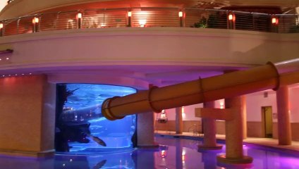 WATER SLIDE THROUGH A SHARK TANK IN OLD SCHOOL LAS VEGAS