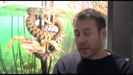 Montier 2013 : Laurent Ballesta