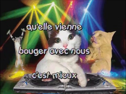 Chats alors 4(musique la Bohème)
