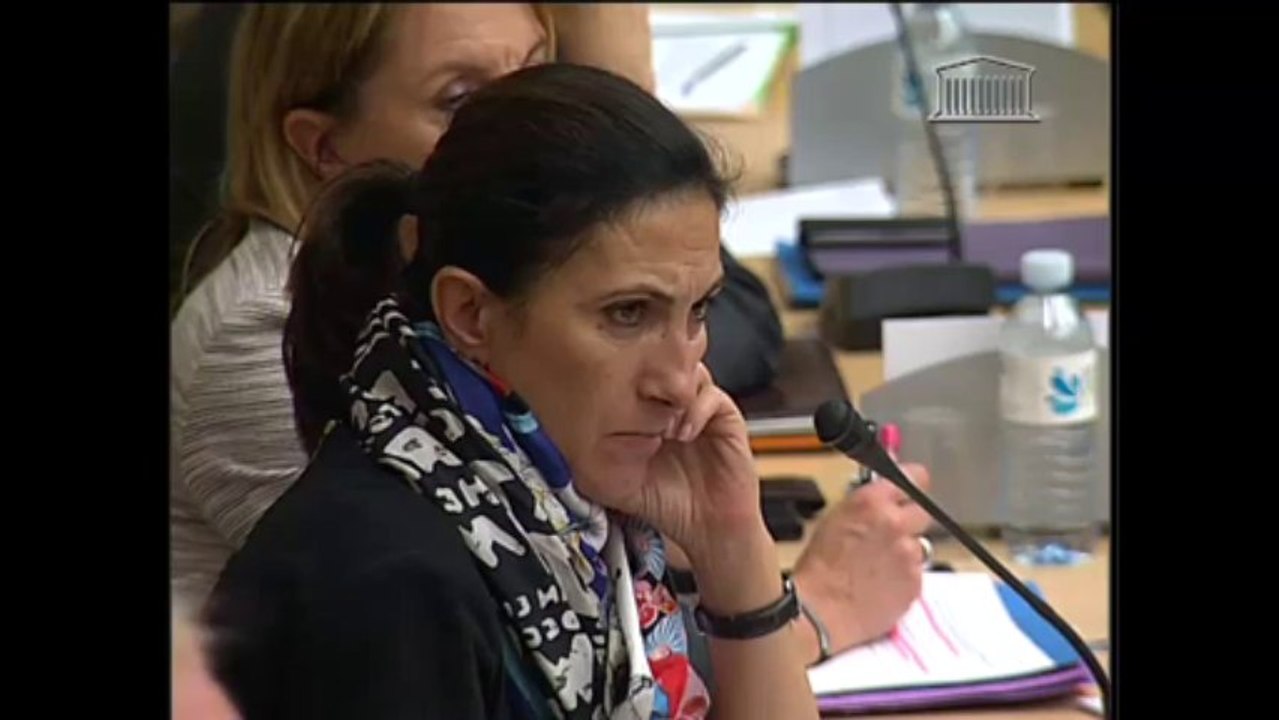Audition de Mme Najat Vallaud-Belkacem, ministre des droits des femmes - Mercredi 6 Novembre 2013