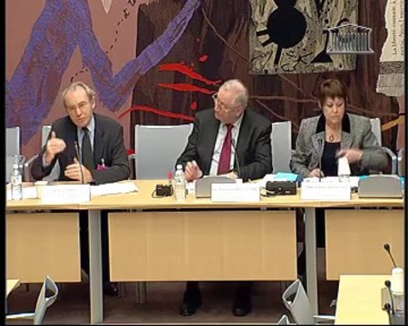 Audition de M. Yves Mény, professeur des Universités - Jeudi 13 Janvier 2011