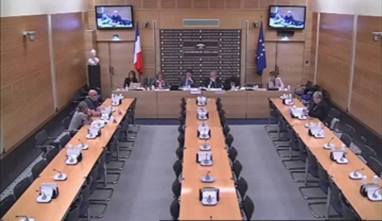 Auditions de Mme Marie Crétenot, juriste au secrétariat national de la section française de l’Observatoire international des prisons et M. François Besse, coordonnateur à l’OIP - Jeudi 11 Octobre 2012