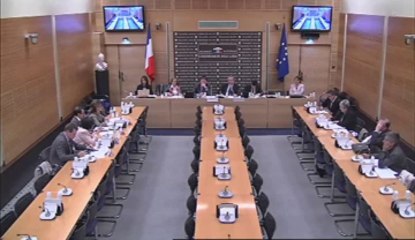 Audition de représentants du Conseil national des barreaux - Jeudi 11 Octobre 2012