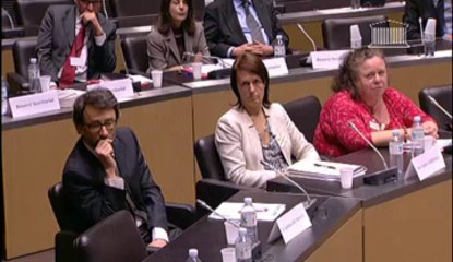 M. Jean-Yves Le Déaut, 1er vice-Pdt de l'OPECST - Jeudi 21 Février 2013