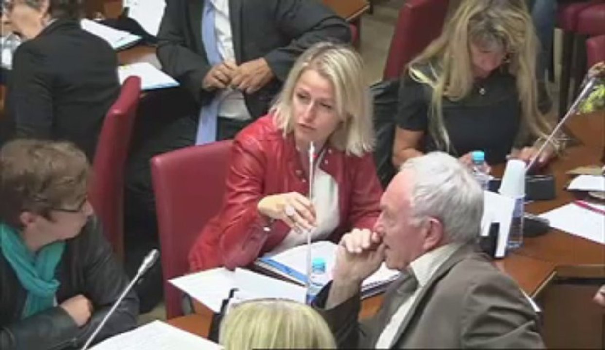 Audition de M. Vincent Peillon, ministre de l'éducation nationale - Mardi 10 Septembre 2013