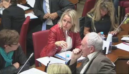 Audition de M. Vincent Peillon, ministre de l'éducation nationale - Mardi 10 Septembre 2013