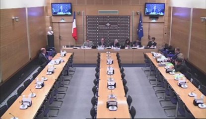 Audition de M. Jean-François Herdhuin, inspecteur Gl honoraire de la police nationale - Mardi 2 Octobre 2012