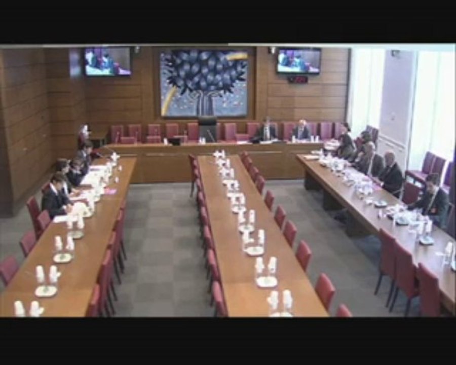 Audition de Mme Marie-Astrid Ravon, sous directrice de la direction du Budget et M. John Palacin, chef du bureau D à la direction de la Legislation fiscale - Jeudi 19 Mai 2011