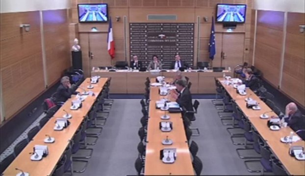 Audition de M. Antoine Sfeir, directeur des Cahiers de l'Orient - Jeudi 21 Février 2013