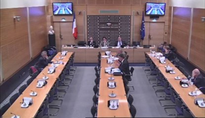 Audition de M. Antoine Sfeir, directeur des Cahiers de l'Orient - Jeudi 21 Février 2013