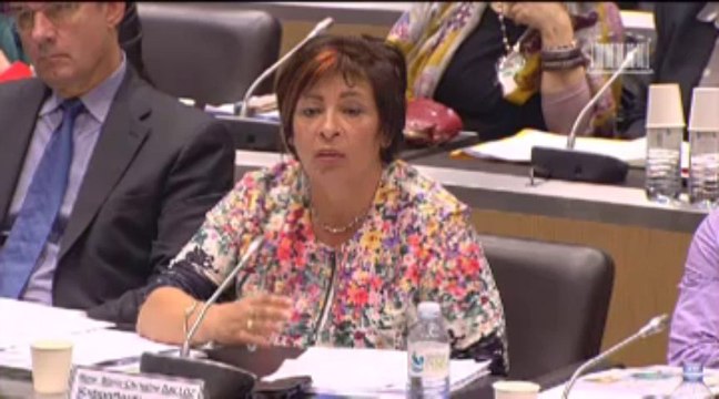 Missions conseil et contrôle de l’Etat ; pouvoirs publics , direction de l’action du gouvernement ; budget annexe : publications officielles et information administrative - Vendredi 25 Octobre 2013