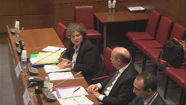 Audition de Mme Catherine Pernette, directrice régionale adjointe de la DIRECCTE - Mardi 29 Octobre 2013
