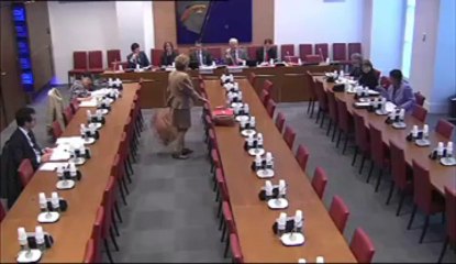 Audition de Mme Françoise Bas-Théron (IGAS) - Jeudi 24 Janvier 2013