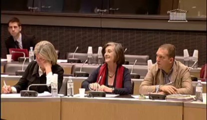 Audition de membres du cabinet du ministre de l'économie - Mardi 28 Mai 2013