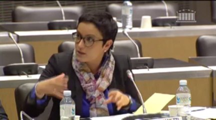 Commission de la défense - Lundi 21 Octobre 2013