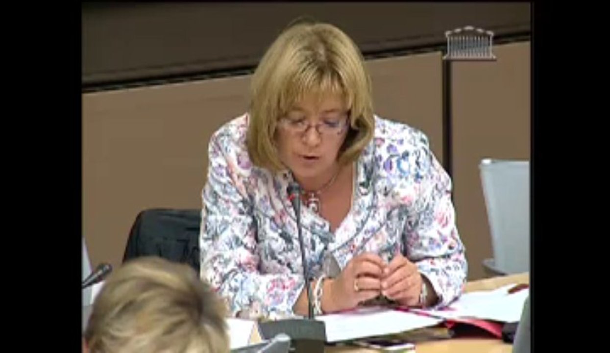 Audition de M. Marwan Lahoud, pdt d'EADS France - Mercredi 16 Octobre 2013