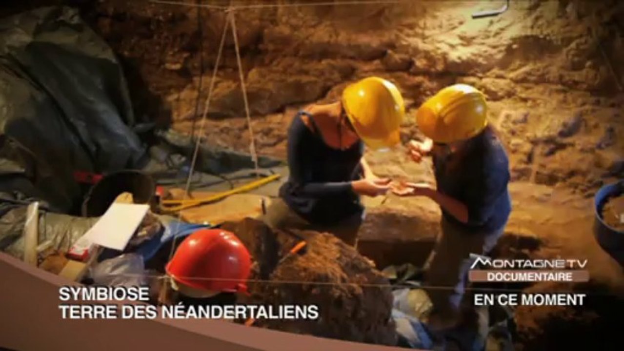 Symbiose : Terre Des Néandertaliens