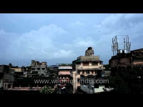 Clouds over the city of joy : Kolkata