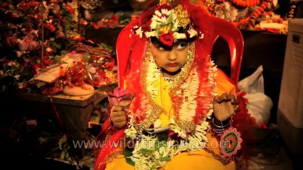 Worship of goddess Durga: Kolkata durga puja
