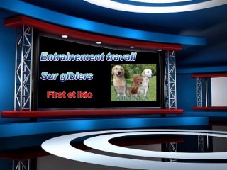 Travail gibiers First et Ikio