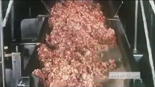 Man falls into meat grinder in gruesome workplace accident - video