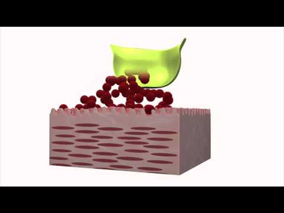 White House suspects Syria has used chemical weapons