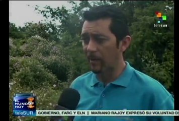 Proliferan las colmenas en Nicaragua; ya hay más de 35 mil