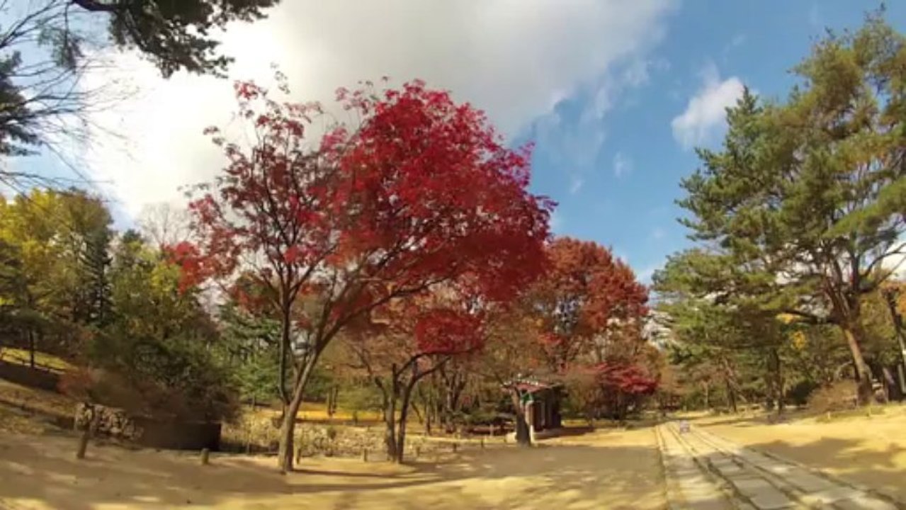 Seoul Nov 13