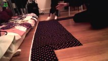 Cute Cats Sliding on Floors - ANIMAL COMPILATION