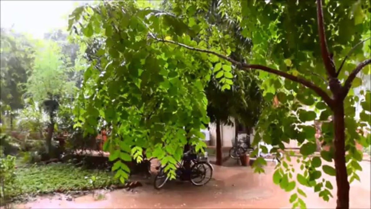 Bagan, Birmanie : La mousson