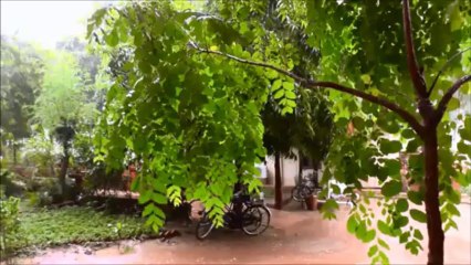 Bagan, Birmanie : La mousson