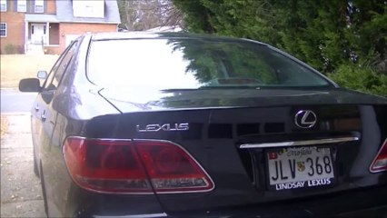 Junior's Awful Thanksgiving